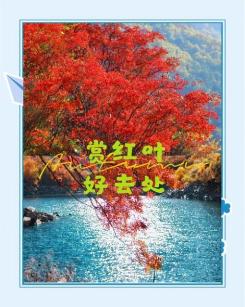 秋天去哪里看红叶_如何描写枫叶-第1张图片-星辰妙记