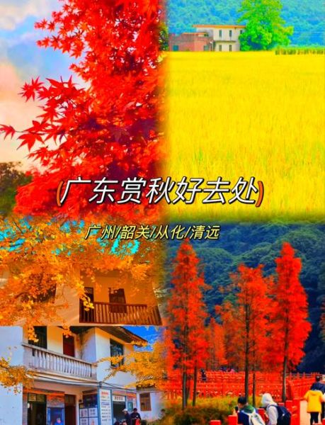 秋天去哪里看红叶_如何描写枫叶-第3张图片-星辰妙记