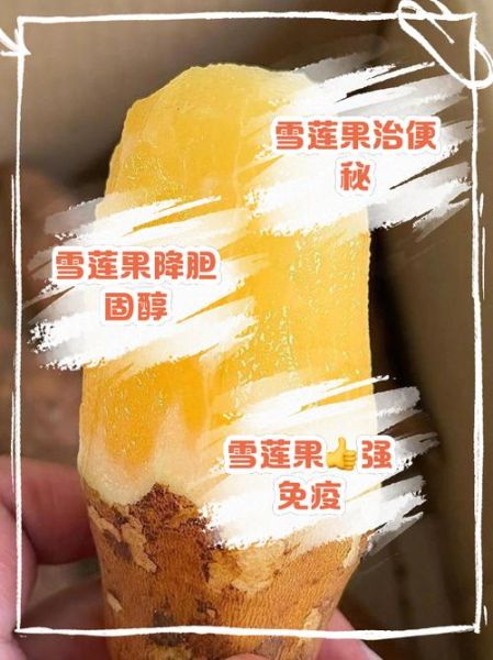 雪莲果孕妇能吃吗_雪莲果对胎儿有影响吗-第1张图片-星辰妙记