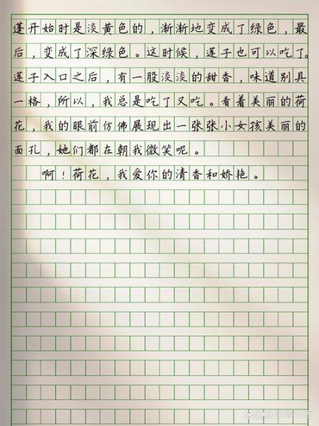 小荷作文怎么写_小荷作文写作技巧-第2张图片-星辰妙记