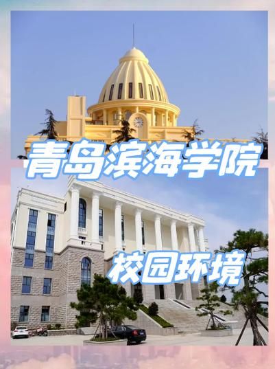滨海大学怎么样_滨海大学有哪些专业-第2张图片-星辰妙记