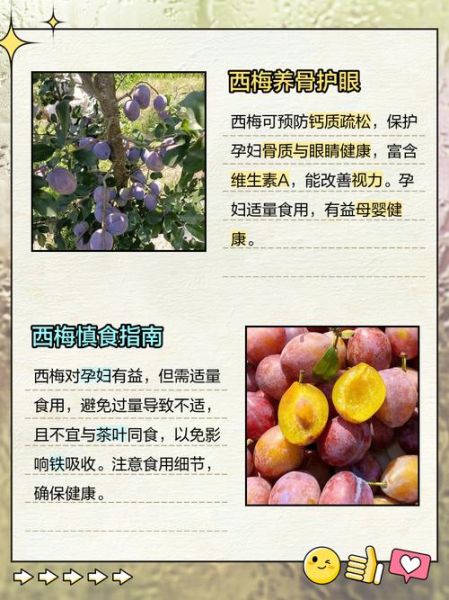 孕妇能吃西梅吗_西梅对孕妇的好处与禁忌-第1张图片-星辰妙记