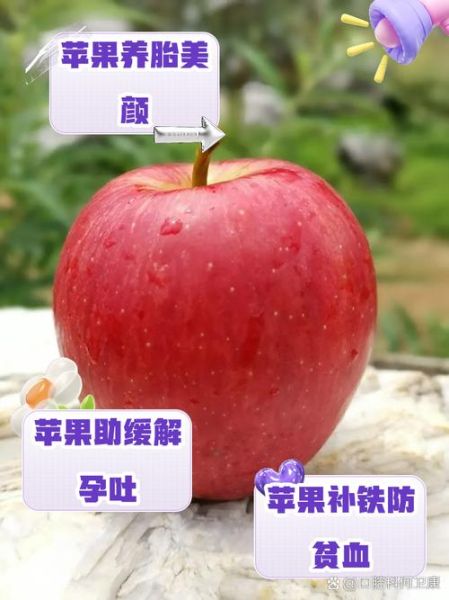孕妇能吃苹果吗_苹果对胎儿有什么好处-第2张图片-星辰妙记
