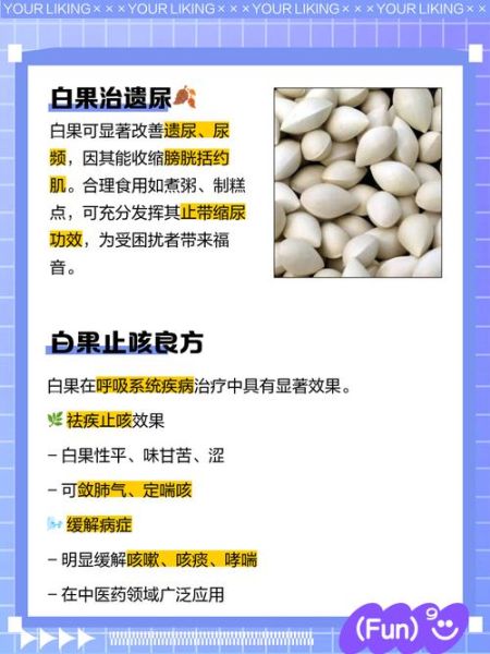 孕妇能吃白果吗_白果对胎儿的影响-第1张图片-星辰妙记