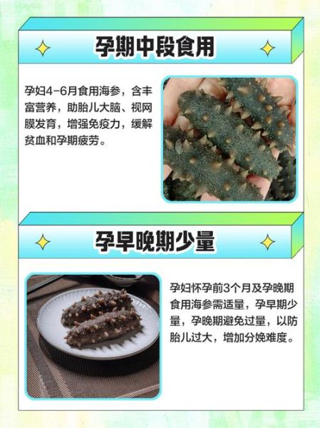 孕妇可以吃海参吗_几个月吃好-第3张图片-星辰妙记