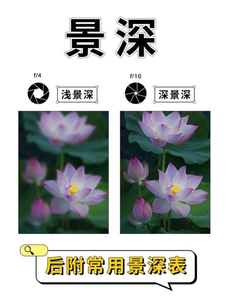 什么是景深_如何控制景深效果-第3张图片-星辰妙记