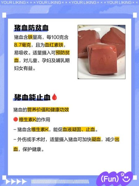 孕妇可以吃猪血吗_孕期吃猪血的好处与禁忌-第2张图片-星辰妙记