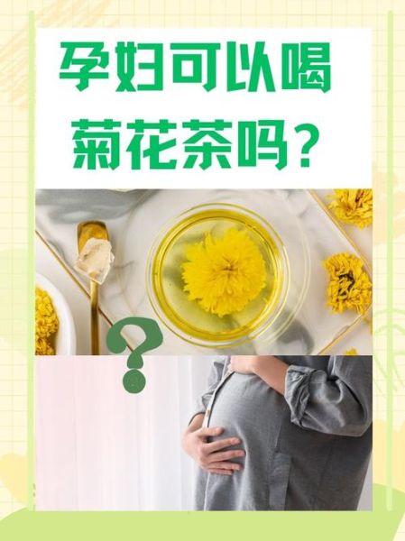 孕妇可以喝菊花茶吗_孕妇喝菊花茶对胎儿有影响吗-第1张图片-星辰妙记