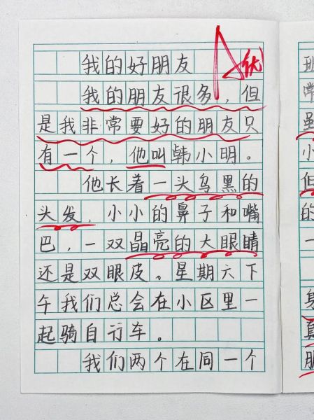 我的好朋友作文怎么写_如何描写好朋友外貌-第1张图片-星辰妙记