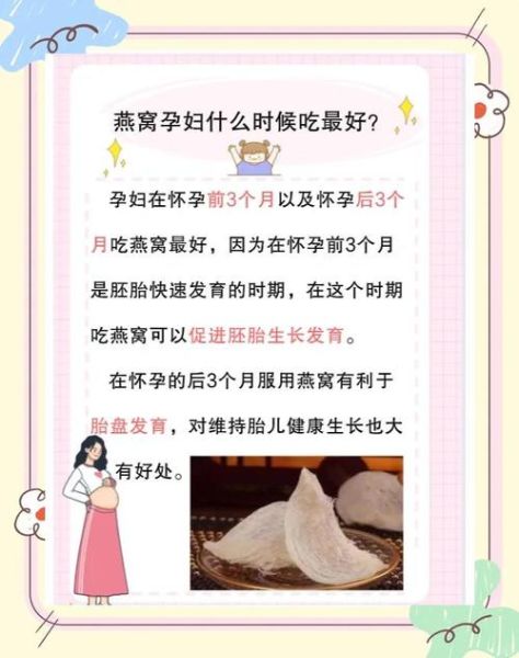 孕妇几个月吃燕窝最好_孕期吃燕窝最佳时间-第3张图片-星辰妙记