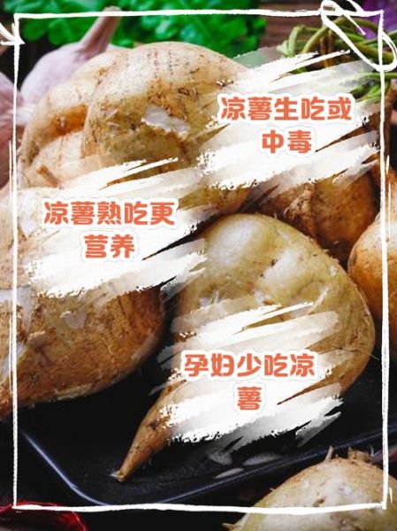 孕妇可以吃凉薯吗_凉薯对胎儿有影响吗-第1张图片-星辰妙记