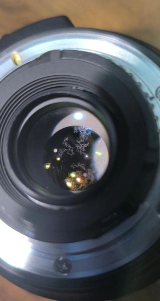 镜头霉点怎么清理_镜头霉点会自己消失吗-第2张图片-星辰妙记