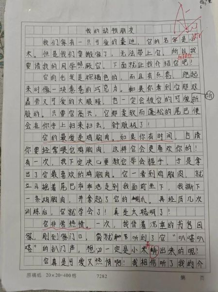 四年级作文怎么写_如何写好四年级作文-第2张图片-星辰妙记