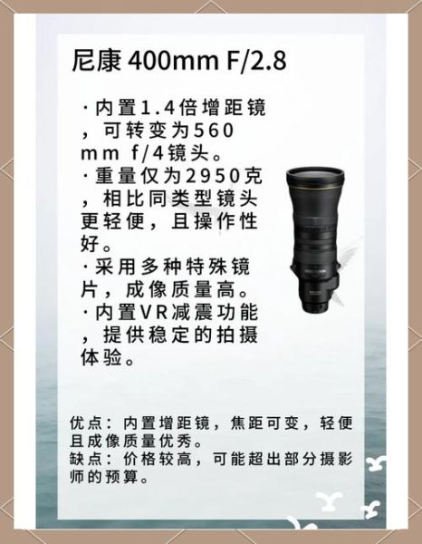 平民打鸟镜头推荐_预算2000以内怎么选-第1张图片-星辰妙记