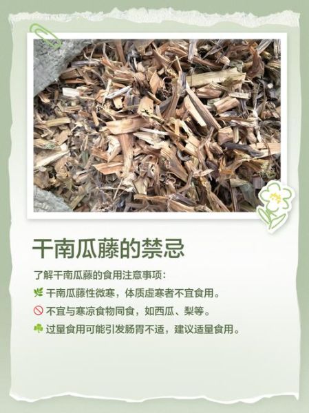 南瓜藤孕妇可以吃吗_孕妇吃南瓜藤注意事项-第3张图片-星辰妙记