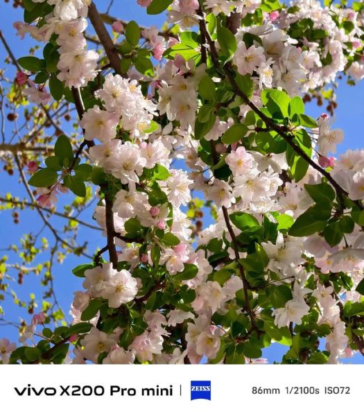 什么是蔡司镜头_蔡司镜头为什么这么贵-第2张图片-星辰妙记