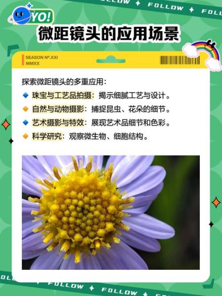 6d微距镜头推荐_6d微距镜头怎么选-第1张图片-星辰妙记 6d微距镜头推荐_6d微距镜头怎么选-第1张图片-星辰妙记