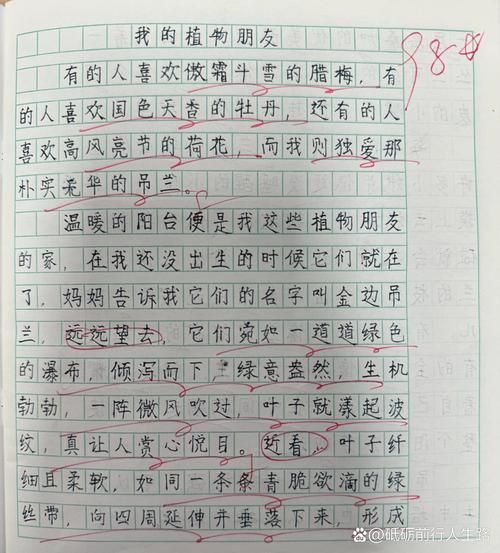 吊兰怎么养才能爆盆_吊兰作文200字怎么写-第1张图片-星辰妙记 吊兰怎么养才能爆盆_吊兰作文200字怎么写-第1张图片-星辰妙记