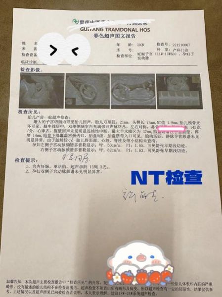 孕妇nf检查是什么意思_nf检查正常值是多少-第2张图片-星辰妙记