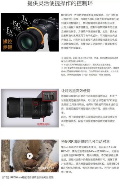 单反打鸟镜头推荐_如何选焦距-第2张图片-星辰妙记 单反打鸟镜头推荐_如何选焦距-第2张图片-星辰妙记