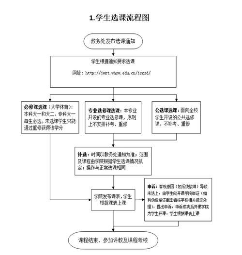 东北财经大学教务处_选课流程怎么走-第3张图片-星辰妙记