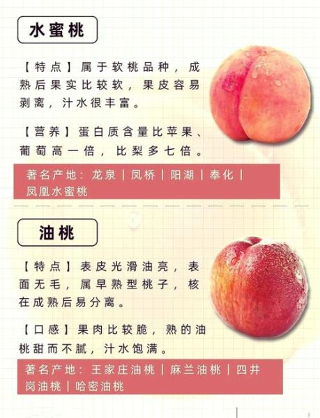 孕妇可以吃桃子吗_孕妇吃桃子的注意事项-第1张图片-星辰妙记