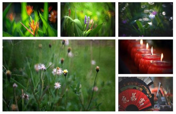 折返镜头画质怎么样_折返镜头画质好吗-第1张图片-星辰妙记 折返镜头画质怎么样_折返镜头画质好吗-第1张图片-星辰妙记