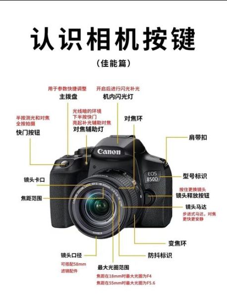 镜头对焦拨杆怎么用_对焦拨杆和按键区别-第1张图片-星辰妙记 镜头对焦拨杆怎么用_对焦拨杆和按键区别-第1张图片-星辰妙记