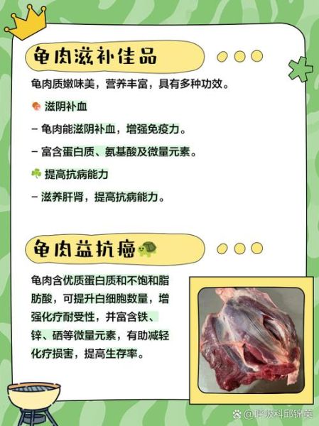 孕妇能吃龟吗_孕妇吃龟肉对胎儿好吗-第1张图片-星辰妙记