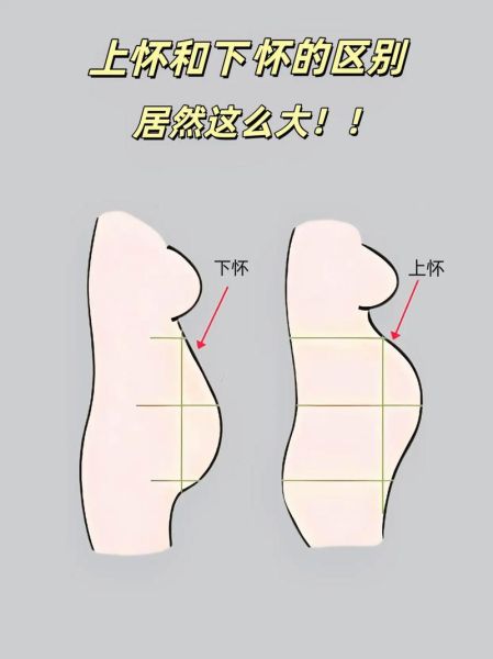 孕妇肚子变化视频_怀孕几个月开始显怀-第1张图片-星辰妙记