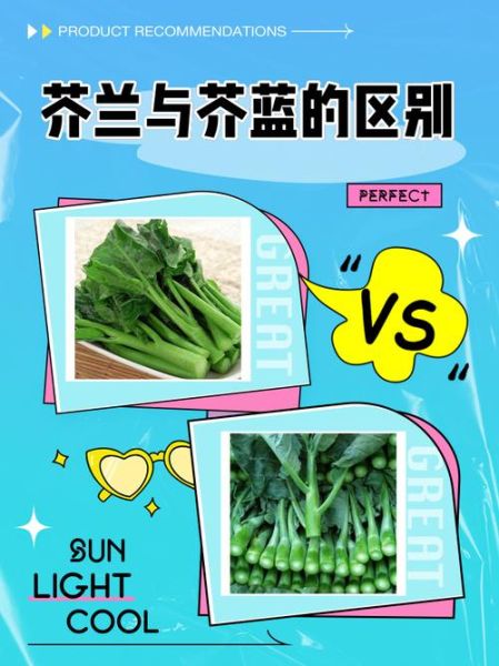 孕妇可以吃芥兰菜吗_芥兰菜对胎儿好吗-第2张图片-星辰妙记