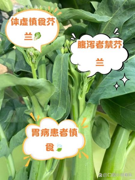 孕妇可以吃芥兰菜吗_芥兰菜对胎儿好吗-第3张图片-星辰妙记