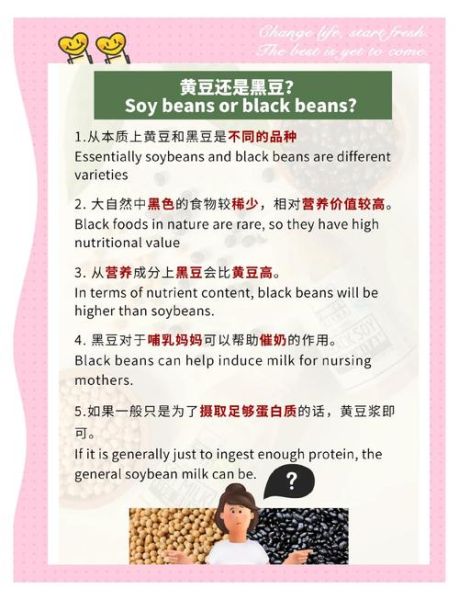 孕妇豆浆可以每天喝吗_孕妇喝豆浆的禁忌-第3张图片-星辰妙记