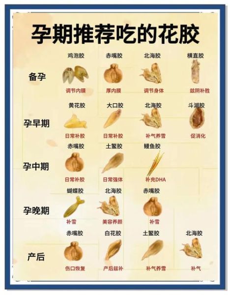 孕妇可以吃鱼胶吗_怀孕吃鱼胶的注意事项-第2张图片-星辰妙记