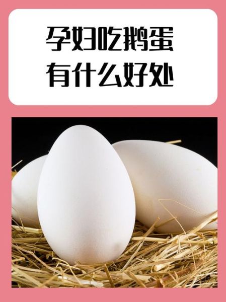 孕妇几个月吃鹅蛋好_鹅蛋对胎儿的好处-第1张图片-星辰妙记 孕妇几个月吃鹅蛋好_鹅蛋对胎儿的好处-第1张图片-星辰妙记