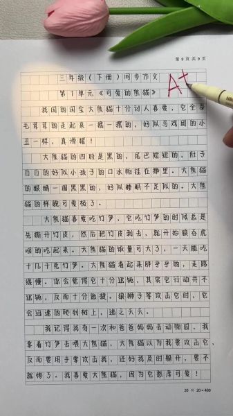 如何写好作文_作文素材100字怎么扩展-第1张图片-星辰妙记