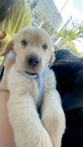 孕妇可以吃火腿肠吗_火腿肠对胎儿的影响-第3张图片-星辰妙记