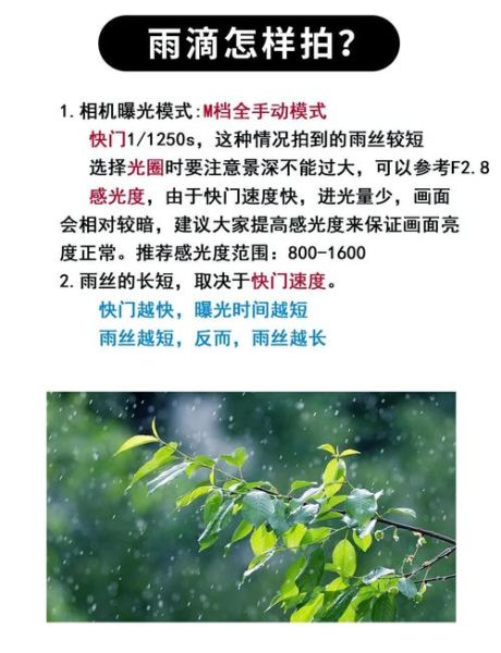 镜头光斑怎么拍_镜头光斑后期怎么做-第1张图片-星辰妙记 镜头光斑怎么拍_镜头光斑后期怎么做-第1张图片-星辰妙记