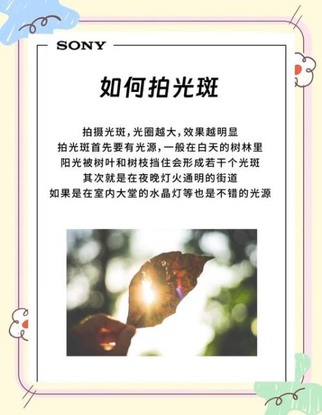 镜头光斑怎么拍_镜头光斑后期怎么做-第3张图片-星辰妙记 镜头光斑怎么拍_镜头光斑后期怎么做-第3张图片-星辰妙记