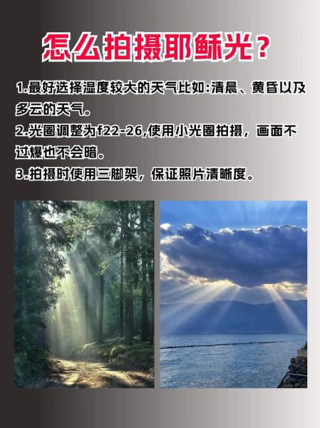 镜头光斑怎么拍_镜头光斑后期怎么做-第2张图片-星辰妙记 镜头光斑怎么拍_镜头光斑后期怎么做-第2张图片-星辰妙记