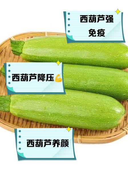 西葫芦孕妇能吃吗_西葫芦孕期怎么吃安全-第1张图片-星辰妙记 西葫芦孕妇能吃吗_西葫芦孕期怎么吃安全-第1张图片-星辰妙记