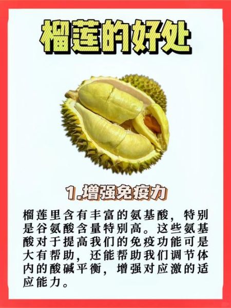 孕妇能吃榴莲吗_榴莲对孕妇有什么好处-第1张图片-星辰妙记 孕妇能吃榴莲吗_榴莲对孕妇有什么好处-第1张图片-星辰妙记