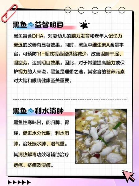 孕妇吃乌鱼对胎儿好吗_孕妇吃乌鱼注意事项-第1张图片-星辰妙记