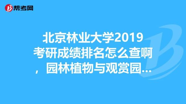 北京林业大学教务处官网入口_如何查询成绩-第2张图片-星辰妙记