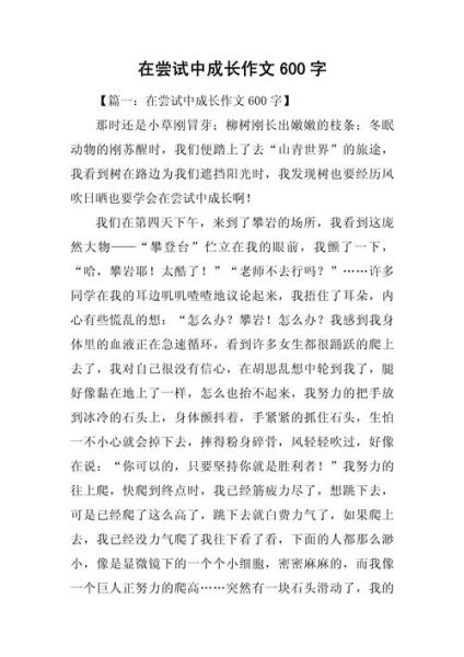 在尝试中成长作文怎么写_如何在尝试中成长600字-第2张图片-星辰妙记