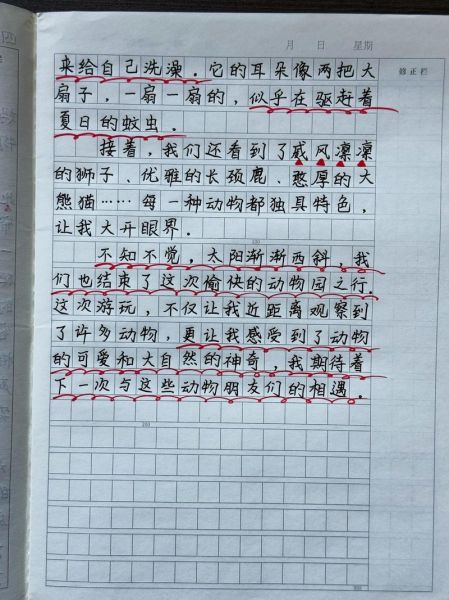 去动物园作文怎么写_动物园游记写作技巧-第2张图片-星辰妙记