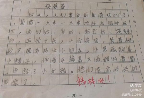 摘葡萄作文怎么写_摘葡萄作文开头怎么写-第3张图片-星辰妙记