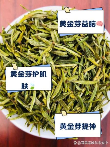 孕妇可以喝黄黄苗茶吗_黄黄苗茶对胎儿有影响吗-第1张图片-星辰妙记