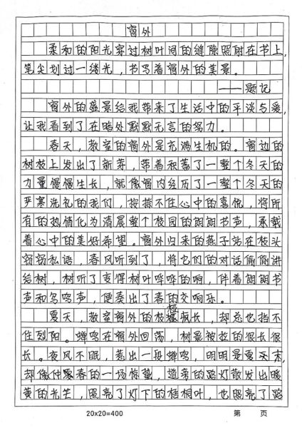 窗外作文怎么写_初二800字范文-第1张图片-星辰妙记