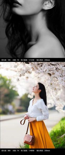 250镜头适合拍什么_250镜头拍人像还是风景-第1张图片-星辰妙记